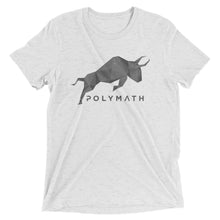 Polymath POLY Coin Gray (Distressed) Logo Symbol Shirt Short sleeve t-shirt